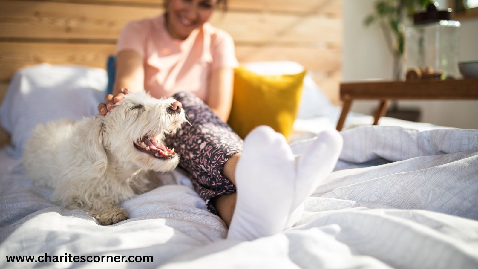 the ultimate morning routine