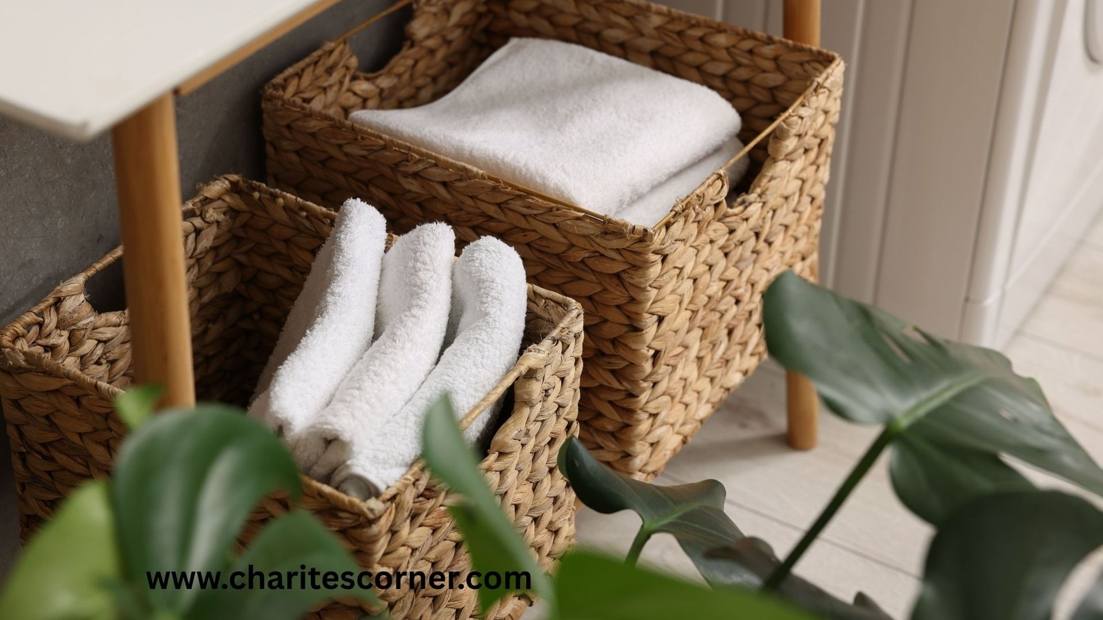 Dollar Tree Organization Hacks