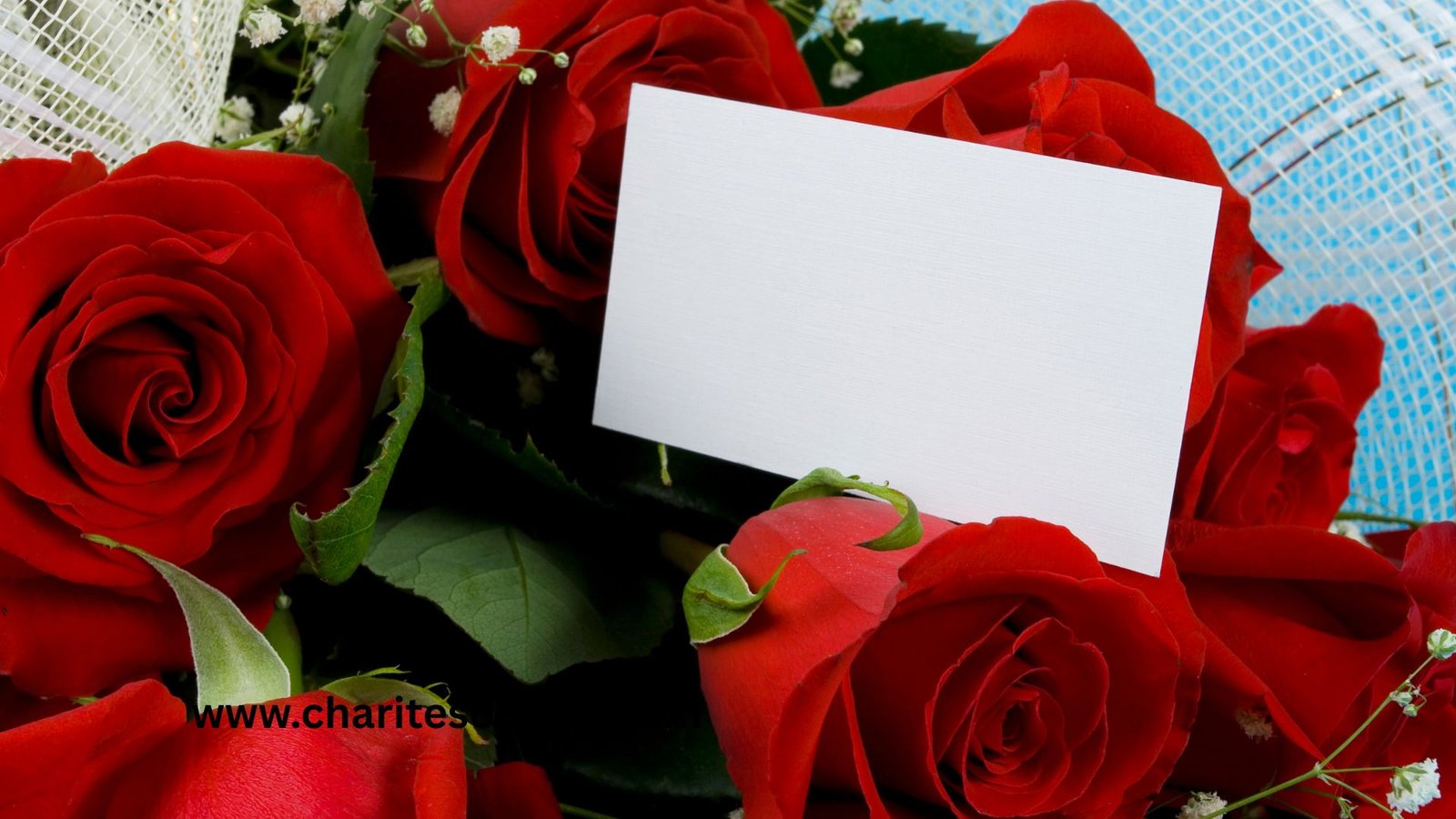 Girlfriend Day Gift Ideas