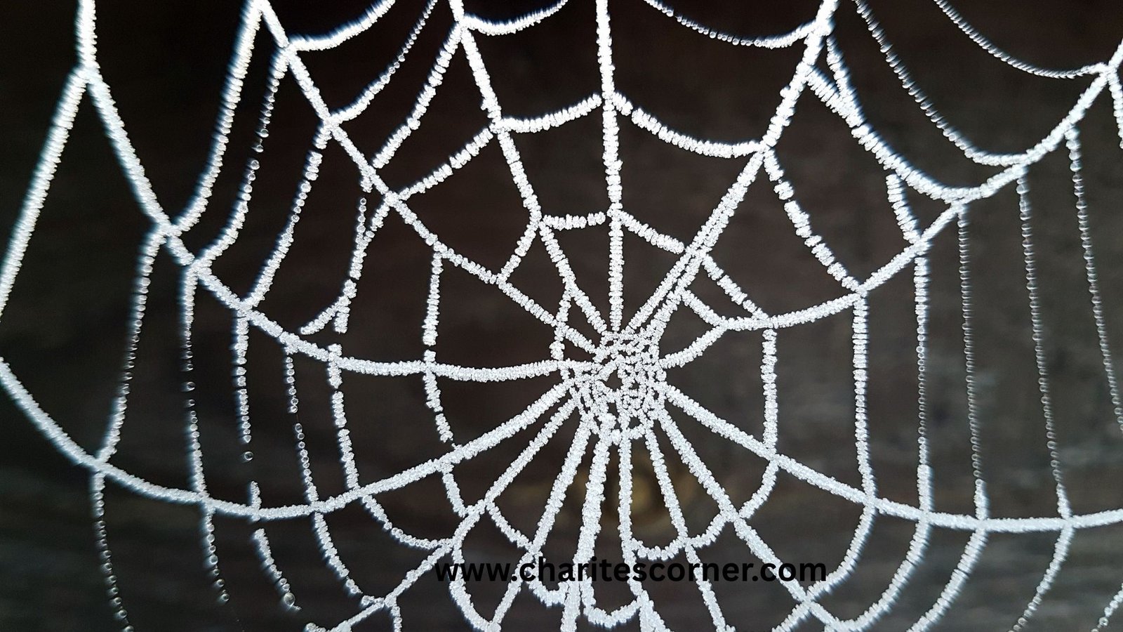 Halloween Decor DIY Ideas