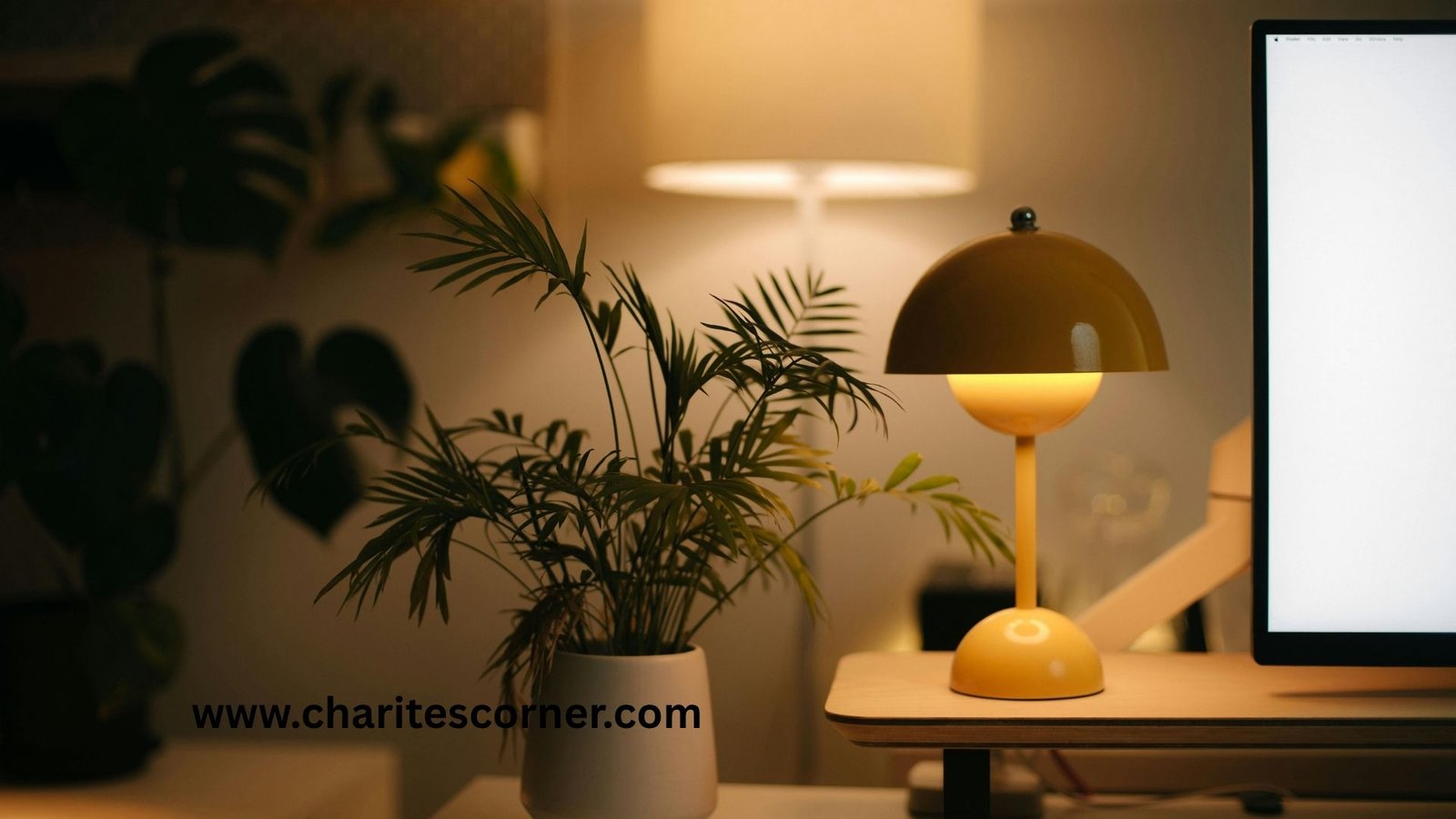 How to create a cozy home on a budget
